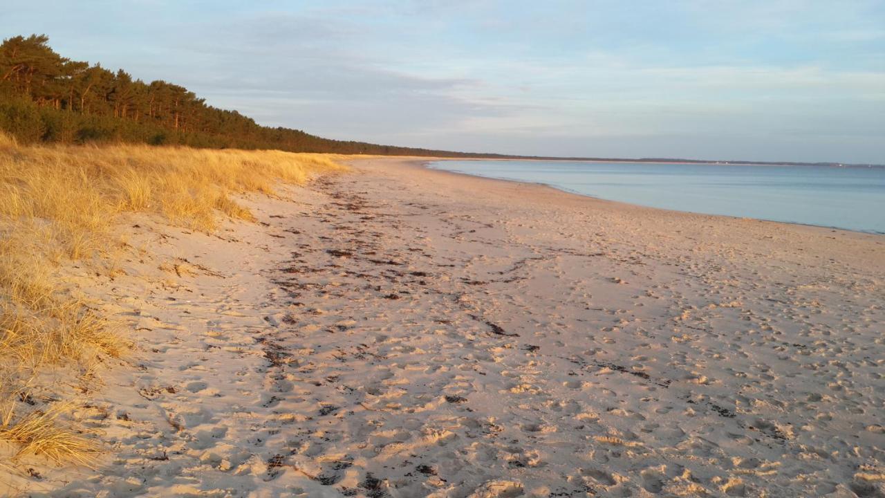 Ostseehaus Lea Doppelhaushaelfte Wiek auf Rügen Extérieur photo